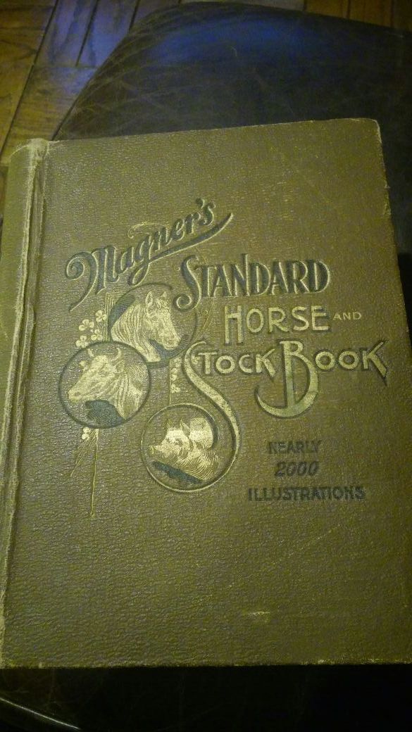Magner's Standard Horse & Stock Book 1915. Nearly 2000 Illustrations. Great Condition