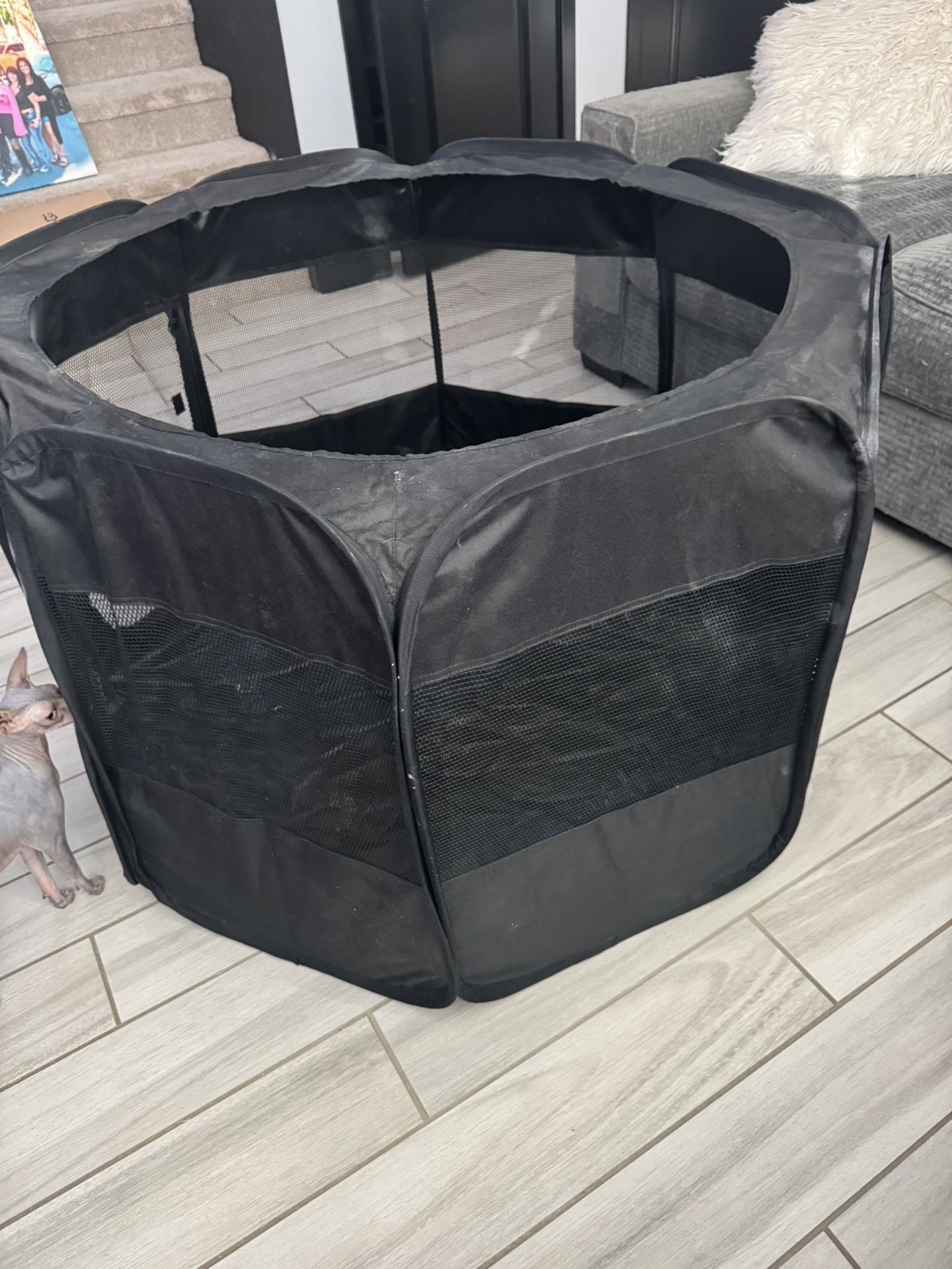 Portable Soft Sided 36” Dog/Cat Crate Great Condition