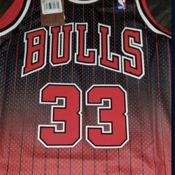 Scottie Pippen Jersey