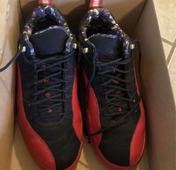 12 Jordan Retro Low