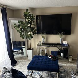 Sofa , Rug , ottoman must go !