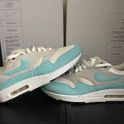 Used Nike Air Max 1 Anniversary Aqua Sz 11