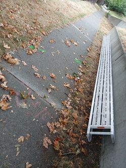 24 By 14. Scaffolding Plank  