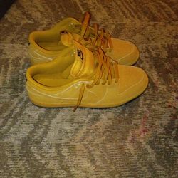 Size 11 Nike Dunk