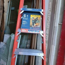 Eight foot ladder 