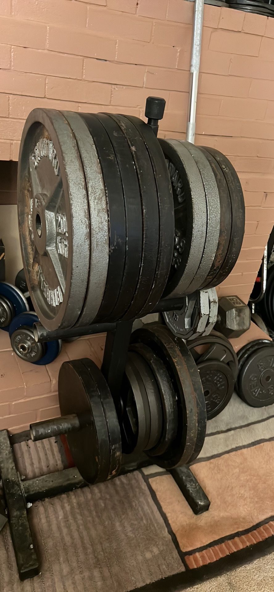 Olympic and bumper plate weights