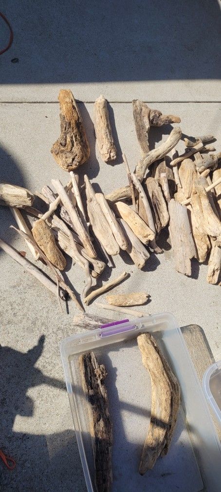 Driftwood Collection  Perfect for Crafts, Aquariums, or Home Décor 🌿