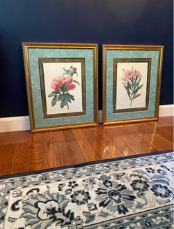 Vintage Botanical Prints by P.J. Redouté – Framed Pair