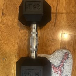 1x 25 Pound Dumbbell Weight 