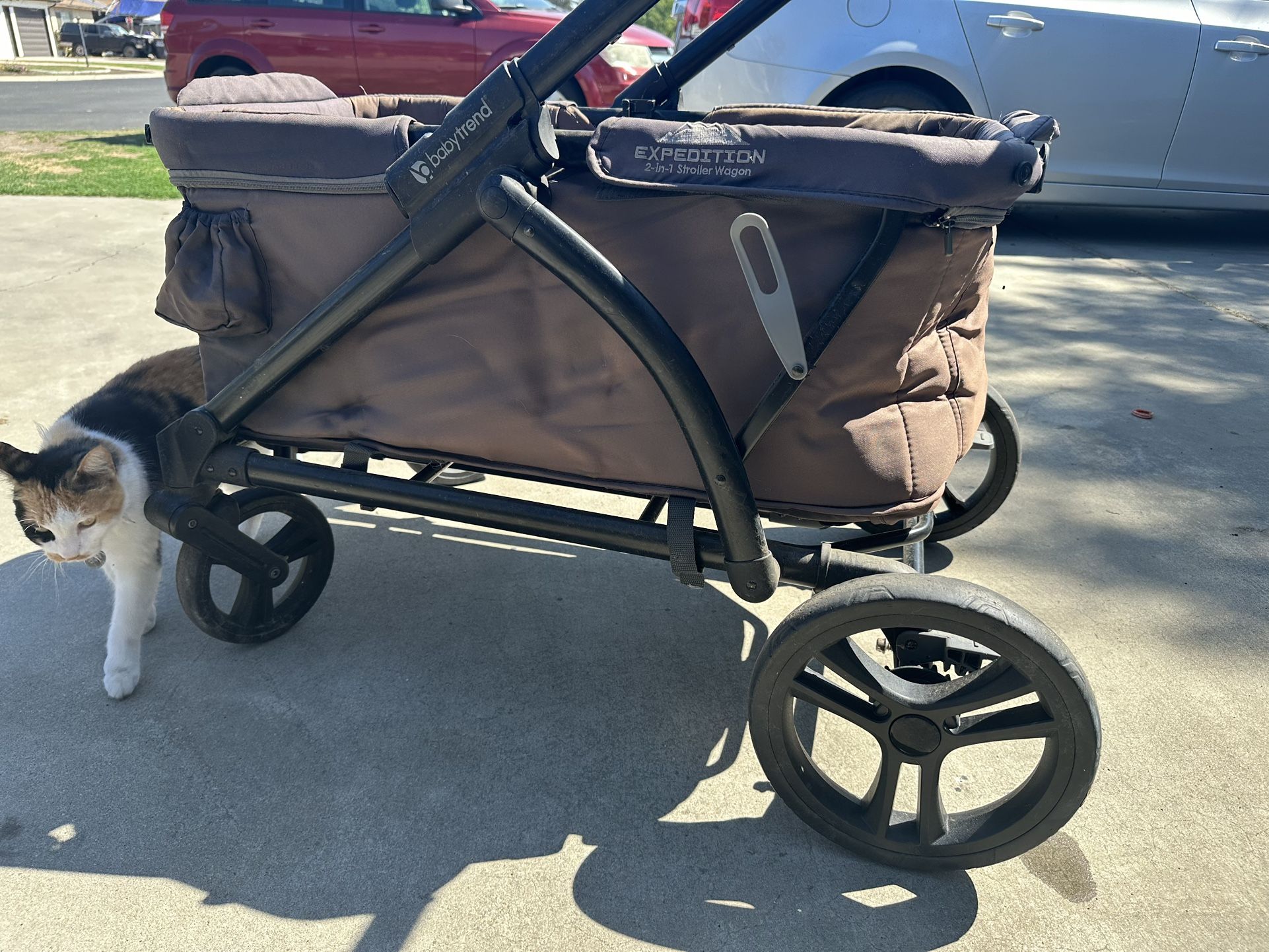 Babytrend Expedition Wagon Stroller