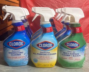 Clorox disinfectant Spray