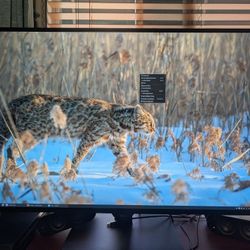 43" LG 4K Monitor (43UN700-B)