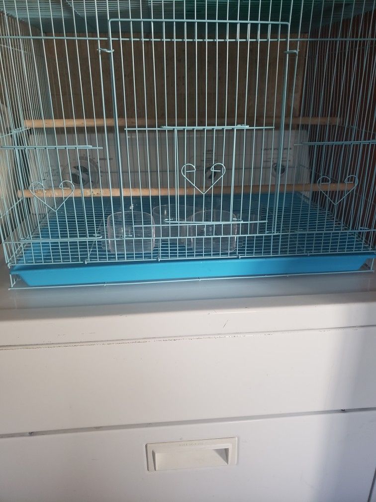 Bird Cages