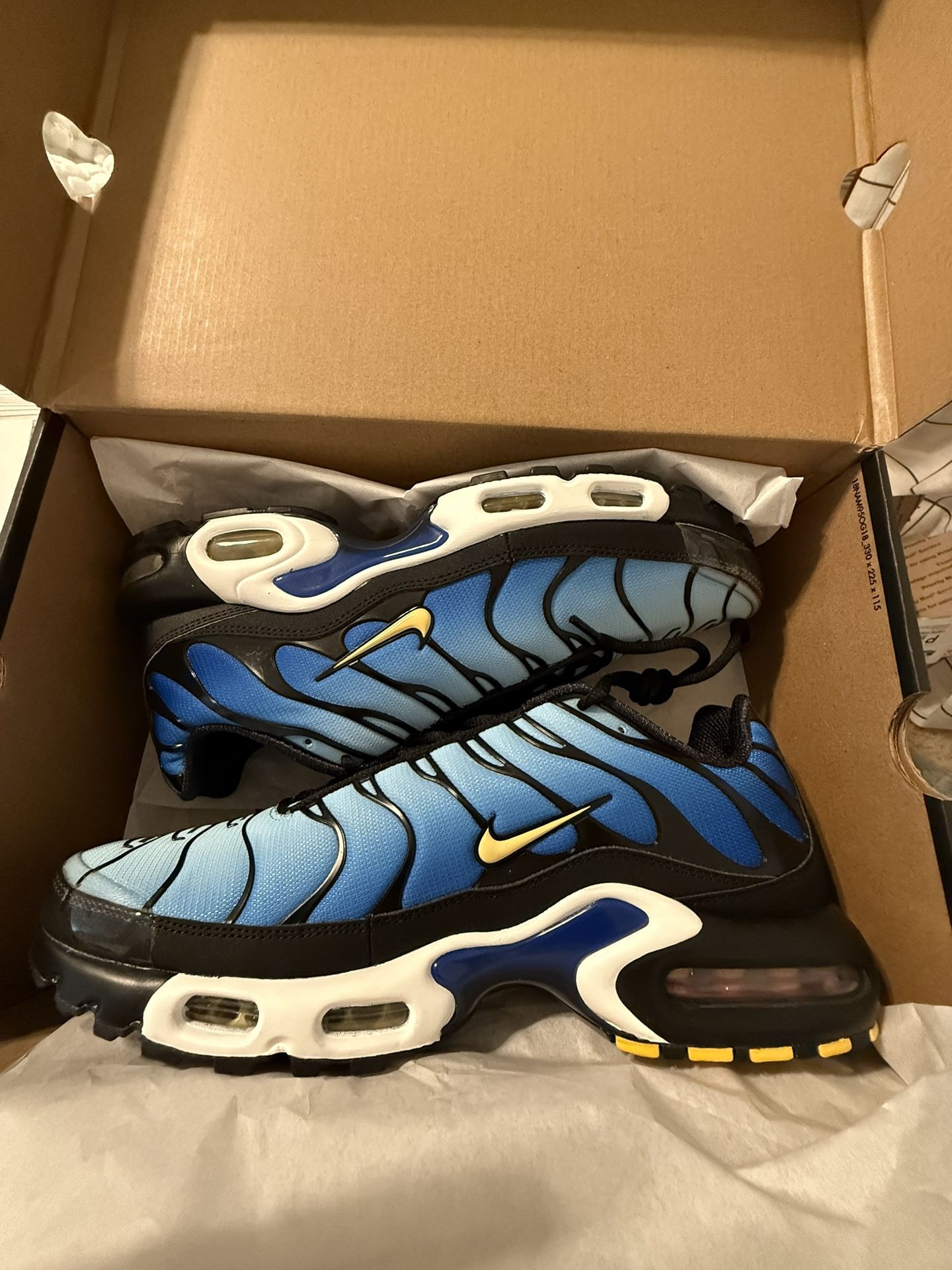 Nike Air Max Plus TN – Size 11