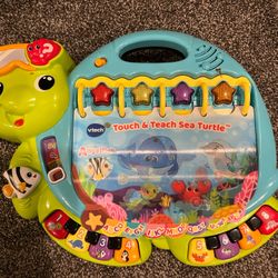 Touch And Teach Sea Turtle