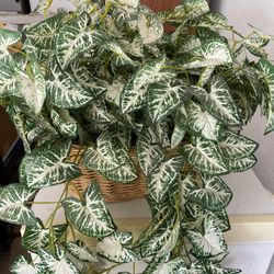 Artificial Plants
