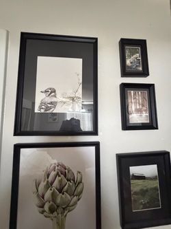 Black Framed Wall Art Set of 6