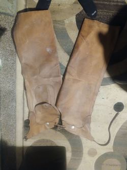 Horse gear