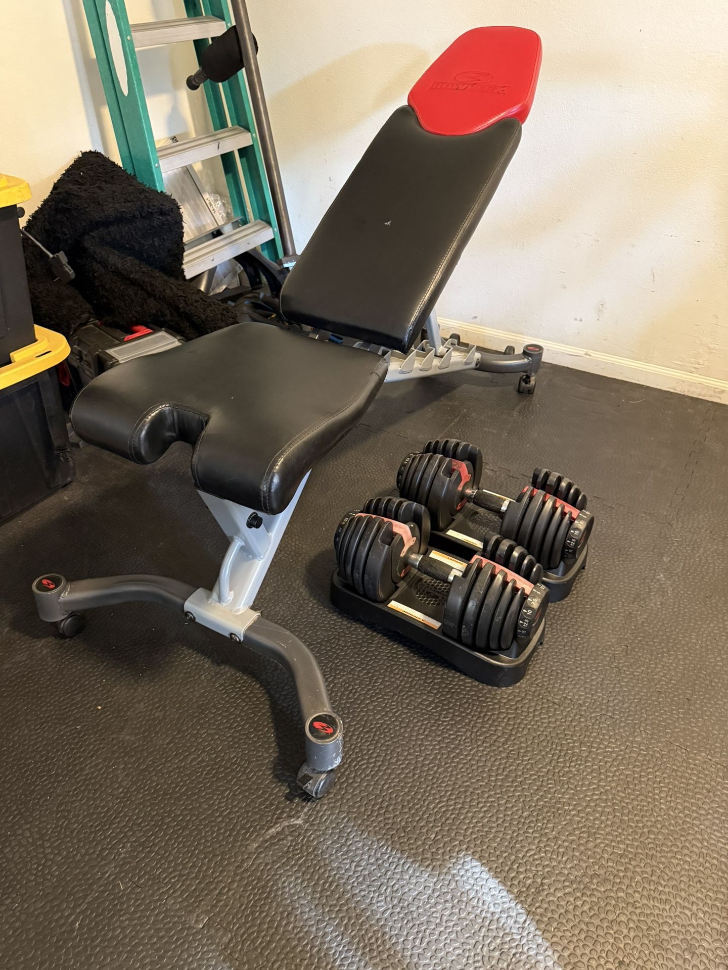 Bowflex SelectTech 552 Adjustable Dumbbells  With Bench 