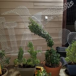 Hummingbird Topiary Plant - 42"