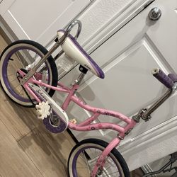 Scwhin bike