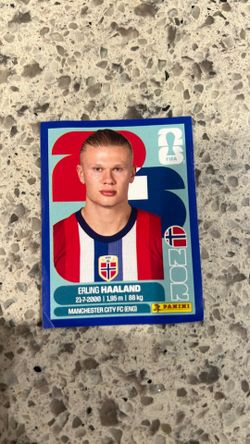 Erling Haaland Sticker