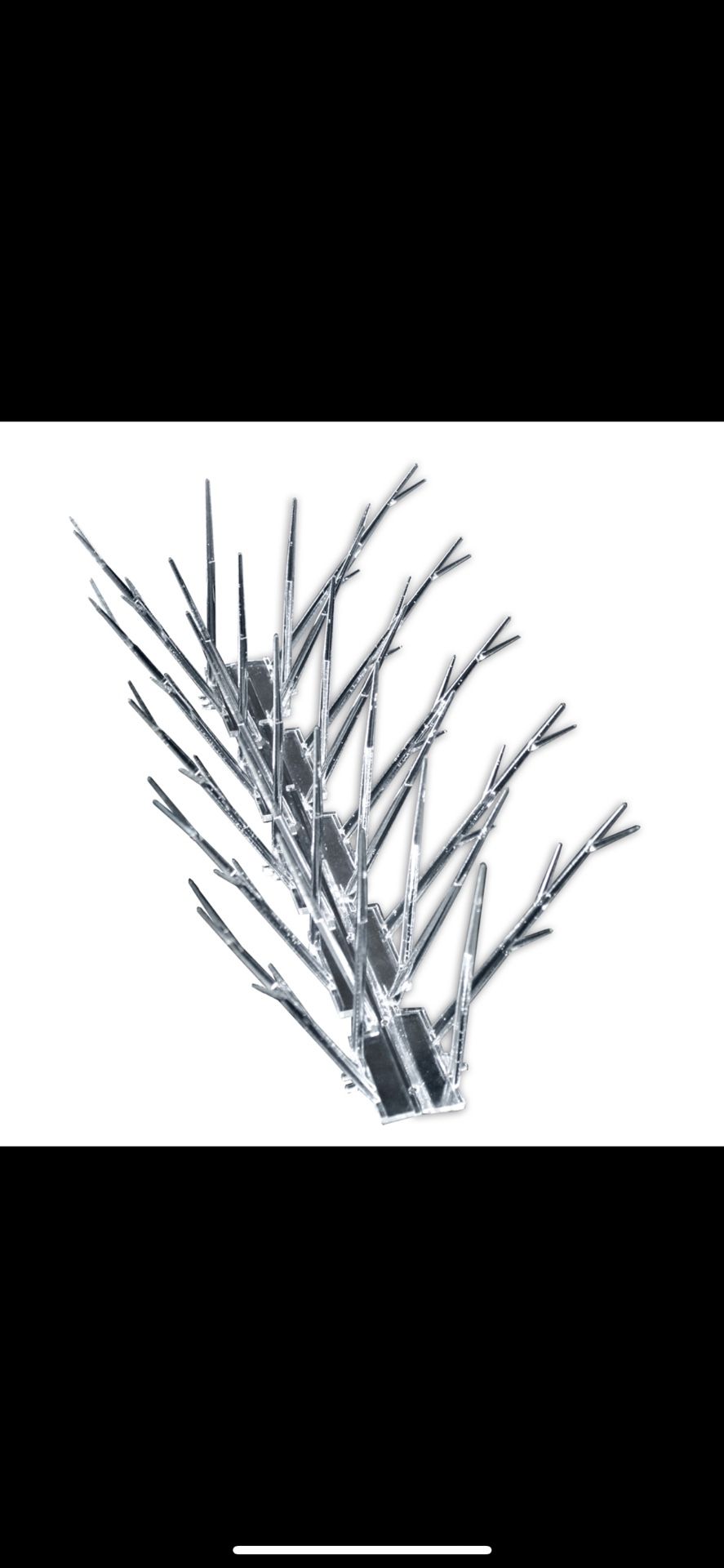 Bird Spikes