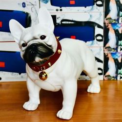 D0G Portable Speaker 🔇🔊🔇🔊🔇🔊