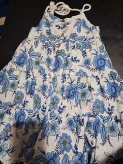 Haute Hippie Dress