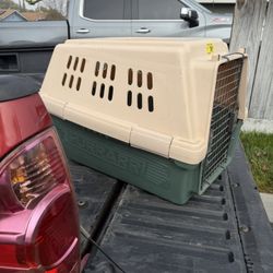 Dog Kennel 
