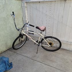 Raleigh Mountain Bike M-600 Converted To Urban Cruiser