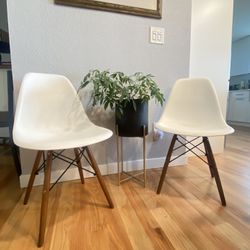 CHAIRS - 2 Modern  Dining Chairs Shell Shaped
