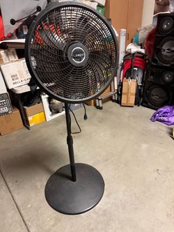 Lasko Black Pedestal Standing Fan