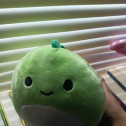 Small Squishmallow 