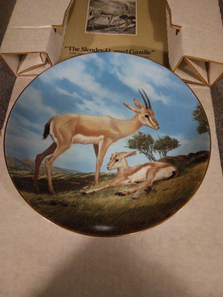 The Slender Horned Gazelle Plate