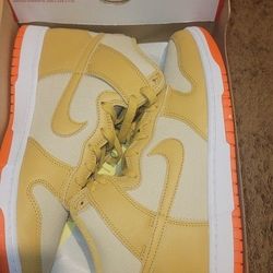 Brand New NIKE DUNKS $60
