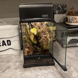 frog tank