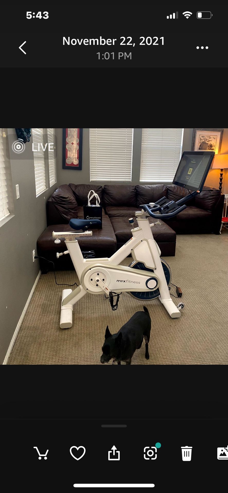 π΄ MYX Fitness Exercise Bike β Great Condition (Missing Power Cord)