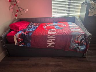 Grey daybed and comes with mattresses