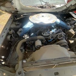 1983 Ford Mustang