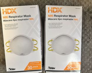 60 N95 Masks