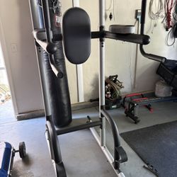 Pro Form Power Tower