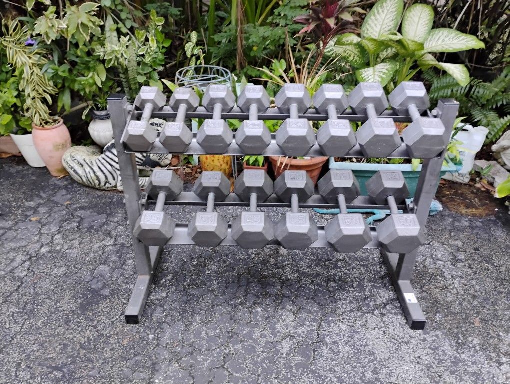 SET OF DUMBBELLS AND  STRONG 2 TIER DUMBBELL RACK (PAIRS OF)  :  15s  20s  25s  30s  35s  45s  50s 