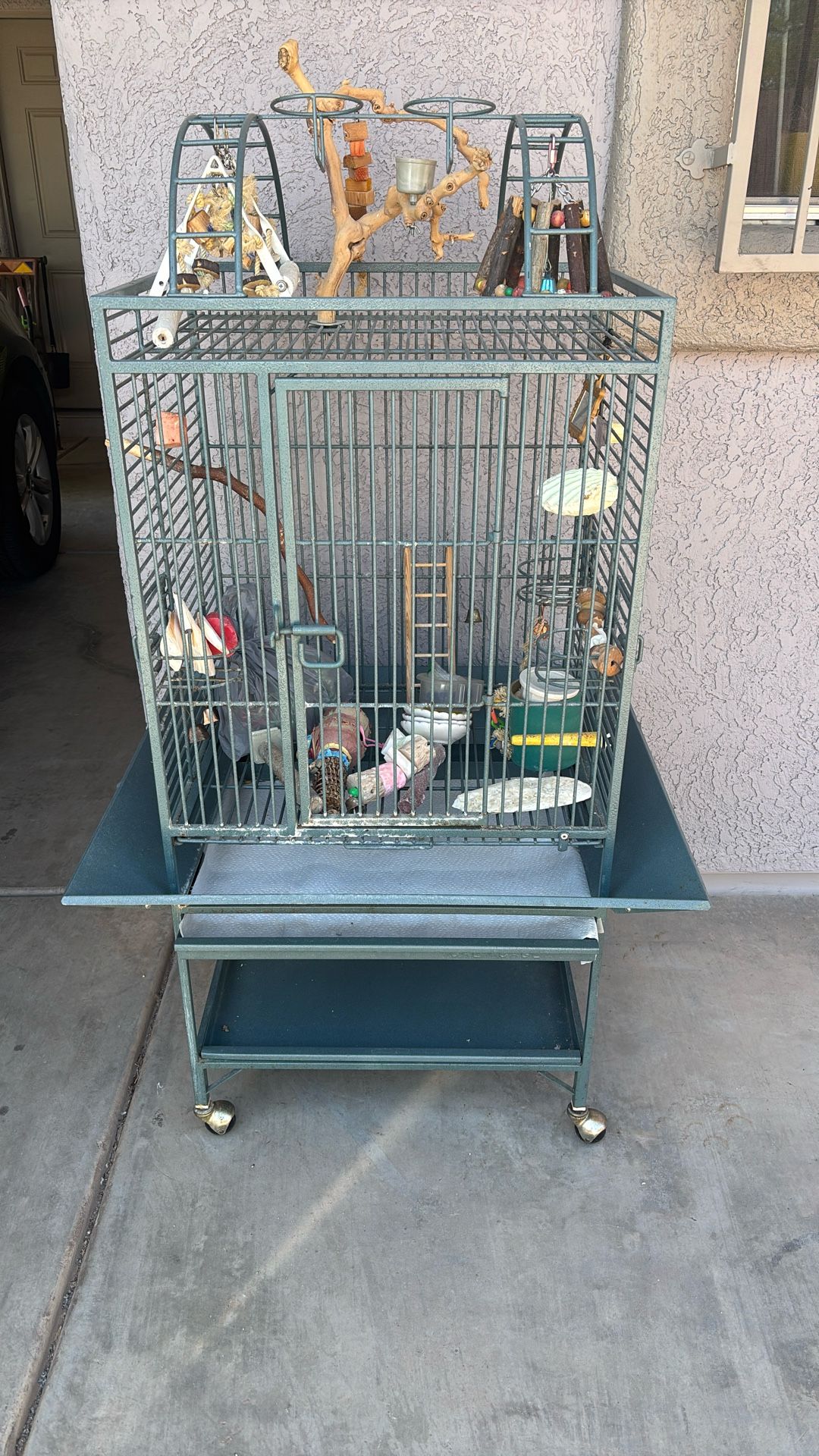 Bird Cage