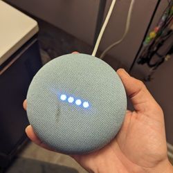Google Home Mini Speaker