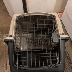 Medium  Size Dog Kennel