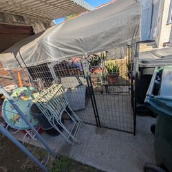 Dog Kennel 