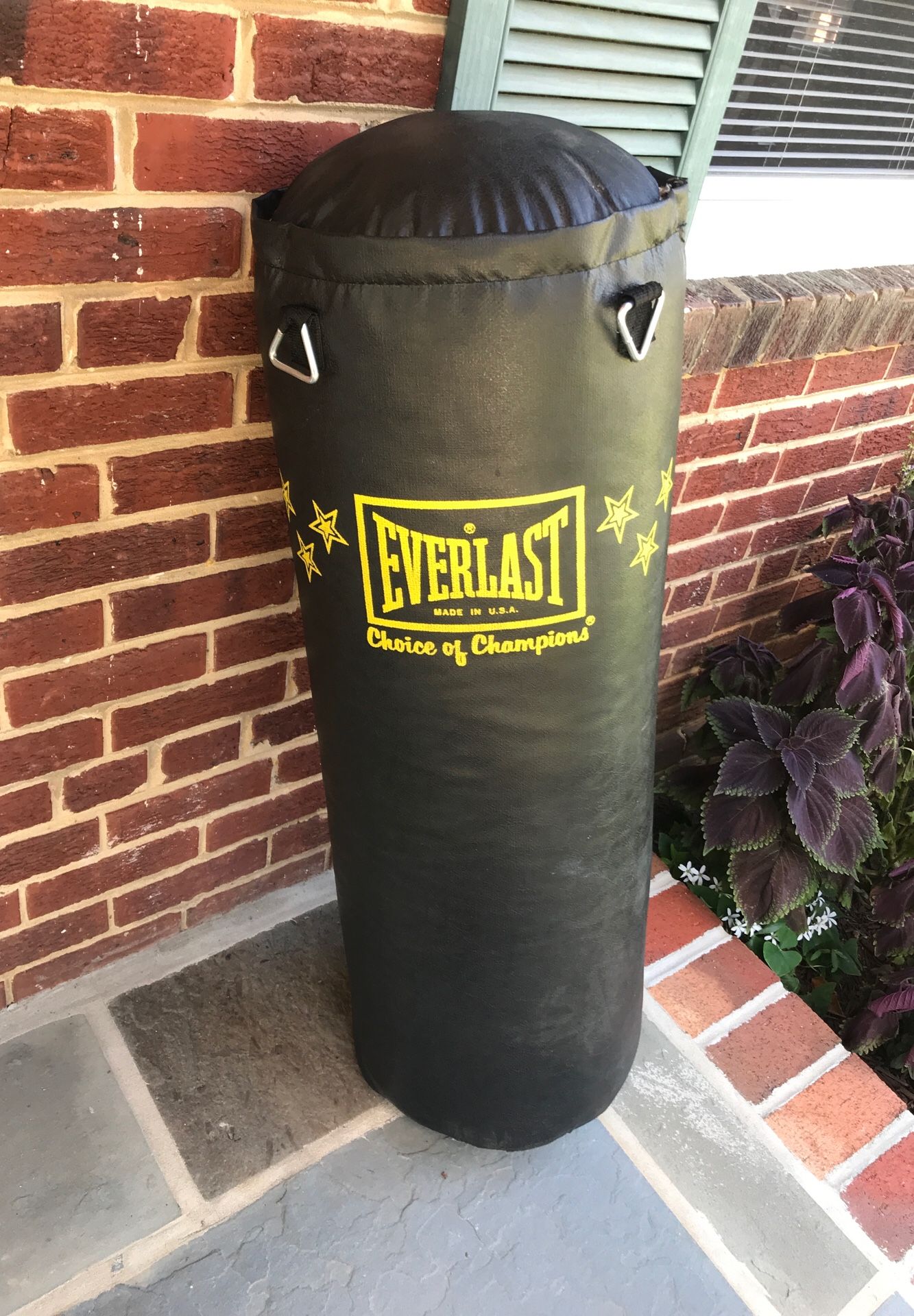 Everlast Punching bag