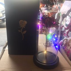 Flower With Vase Light-up