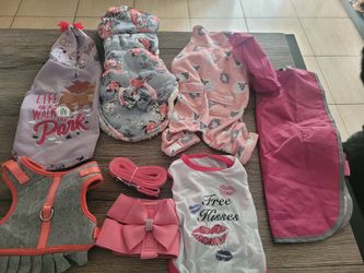  Small Dog Female Pet Clothing 